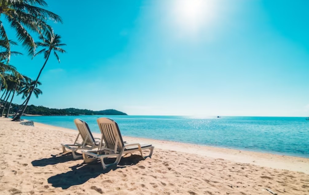 Выезд за границу во время процесса банкротства