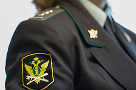 Какие права есть у пристава?