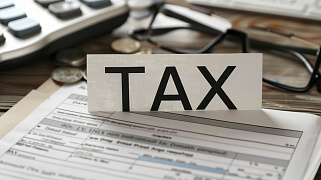 Налоговая амнистия 2024 года для физических и юридических лиц