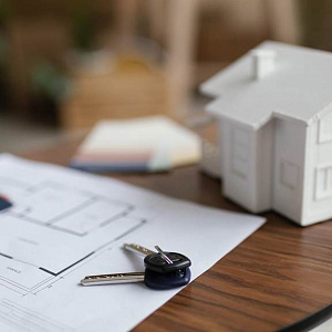 Имущество юридического лица: виды и правовые особенности